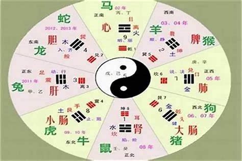 言 五行屬性|言字的五行是什么,言的五行属性及吉利寓意